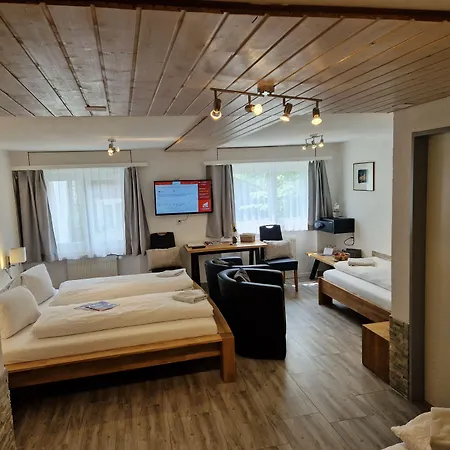 Ξενοδοχείο Paradis-leukerbad-therme 2*